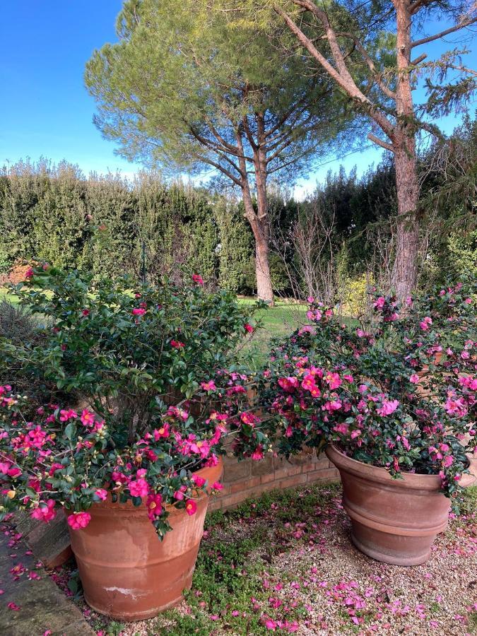 B&B Villa Fioreconero Montacuto Екстер'єр фото