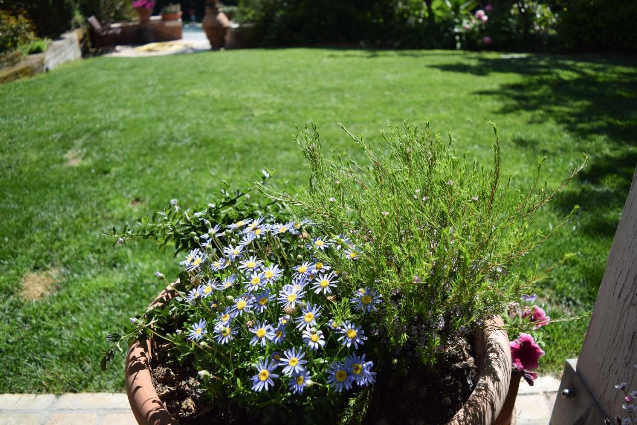 B&B Villa Fioreconero Montacuto Екстер'єр фото